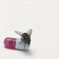 The Red Hot Chili Peppers